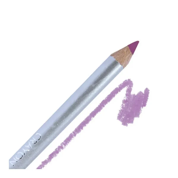 Crayon à Lèvres Fuschia ParisAx 1
