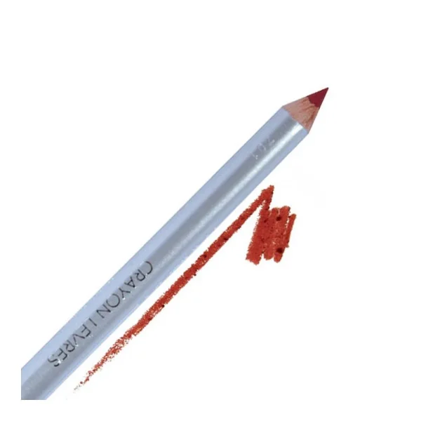 Crayon à Lèvres Prunelle ParisAx 1