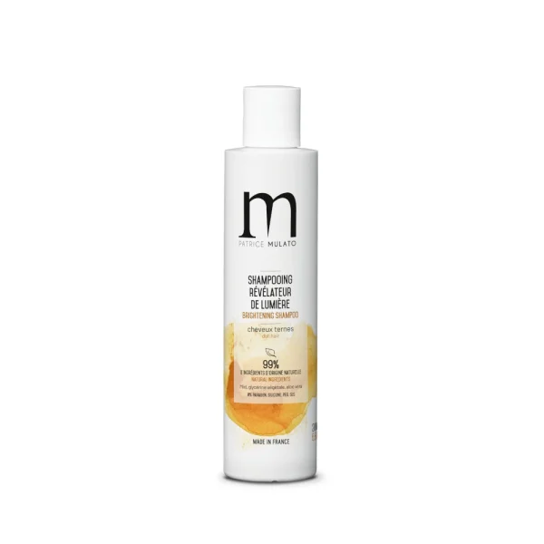 Shampooing Révélateur De Lumière Flow’air Patrice Mulato 4